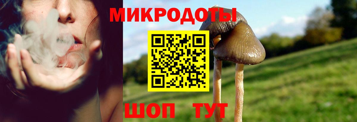 Псилоцибиновые грибы GOLDEN TEACHER Саранск